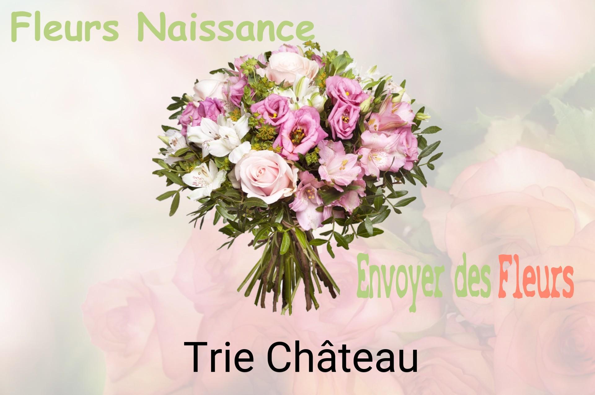 Bouquet de fleurs de naissance livré à Trie-Château